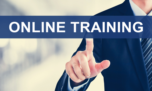Online IT training